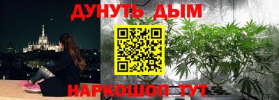 прущие крисы Лесосибирск