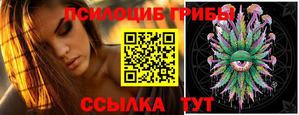 Псилоцибиновые грибы прущие грибы  Галлюциногенные грибы Psilocybine cubensis  Вход с VPN  Гусев 