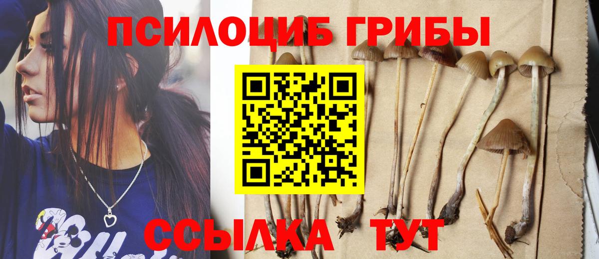 Псилоцибиновые грибы GOLDEN TEACHER Гусев