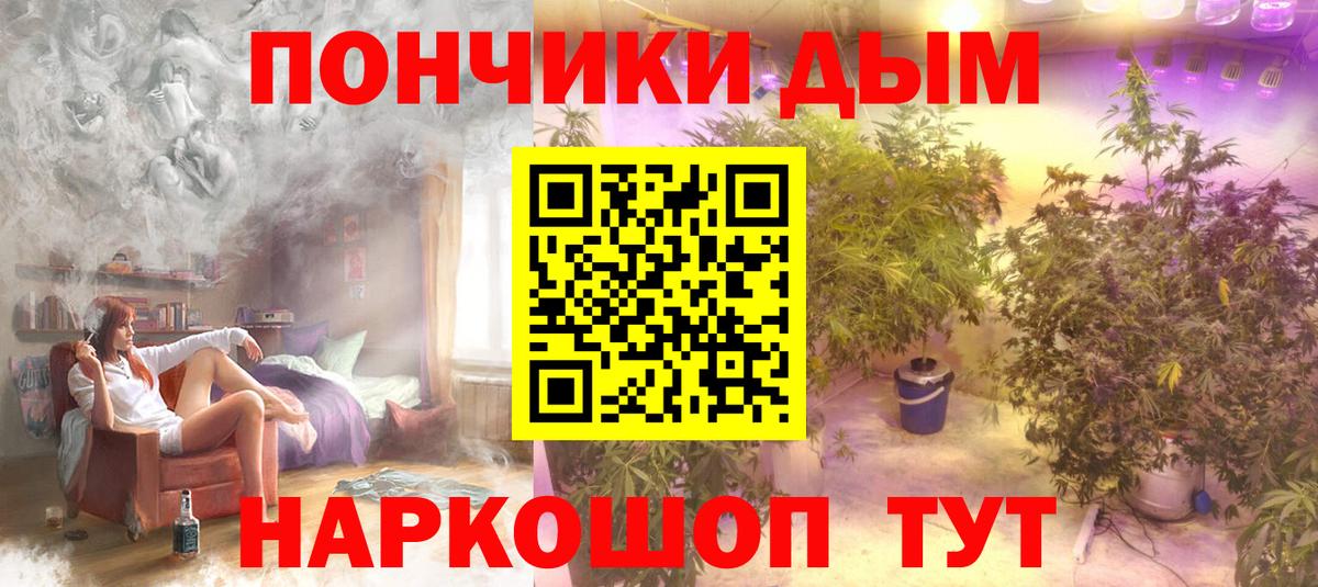 Каннабис индика Гусев